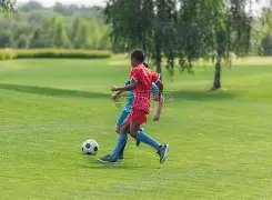 伊朗男篮阵,容揭晓,哈达迪与巴,万博体育,万博体育官网,万博体育平台,万博体育官方网站