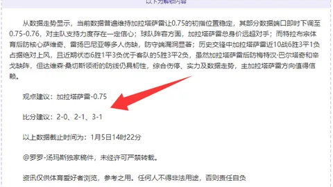 埃迪-豪展望新赛季英超：力争超越去年成绩