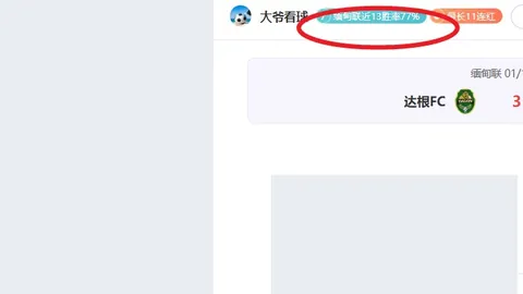 昆拉武特韩国羽球大师赛连克两关，王正行惜败无缘冠军